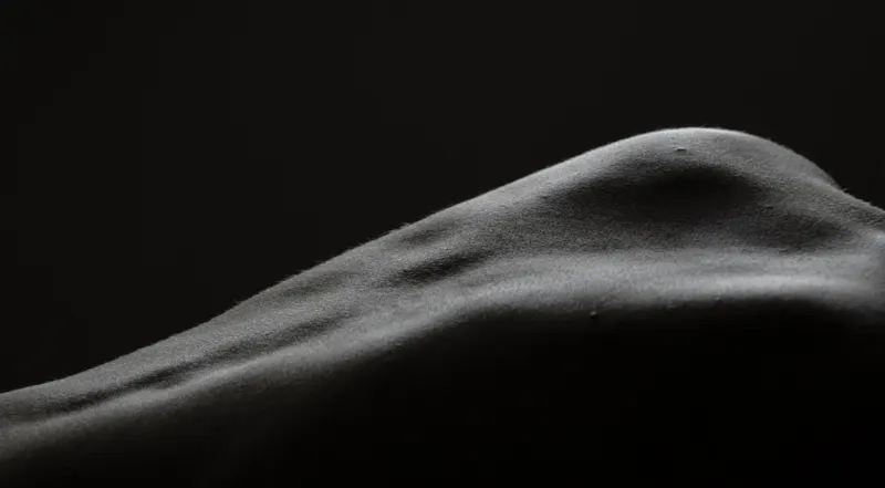 Body, image 2
