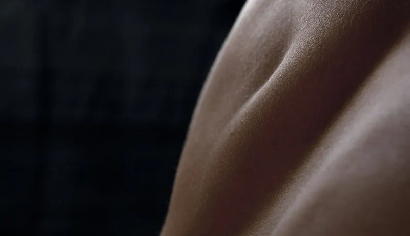 Body, image 4