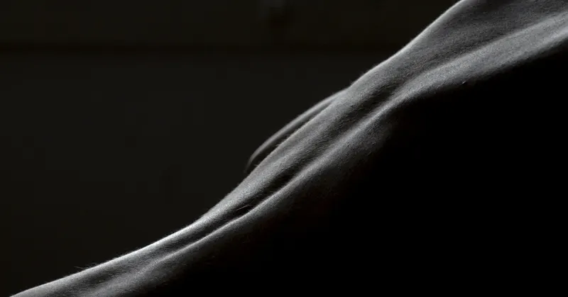 Body, image 6
