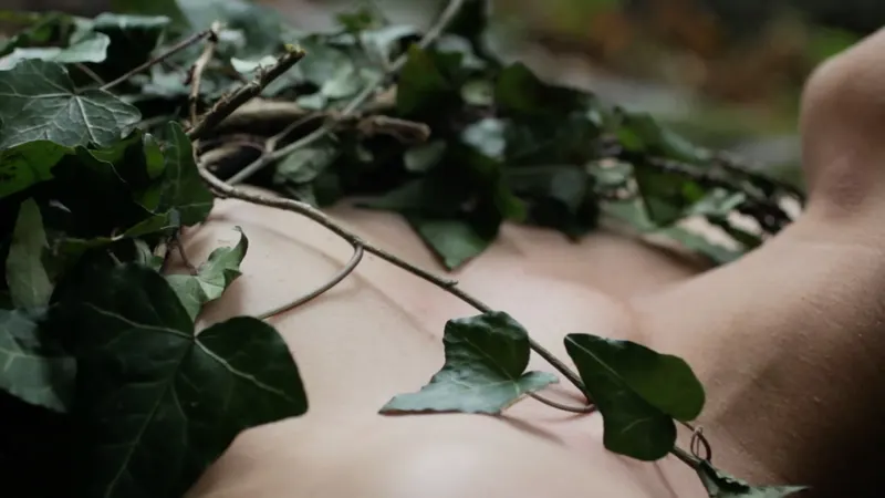 MUSIC VIDEOS